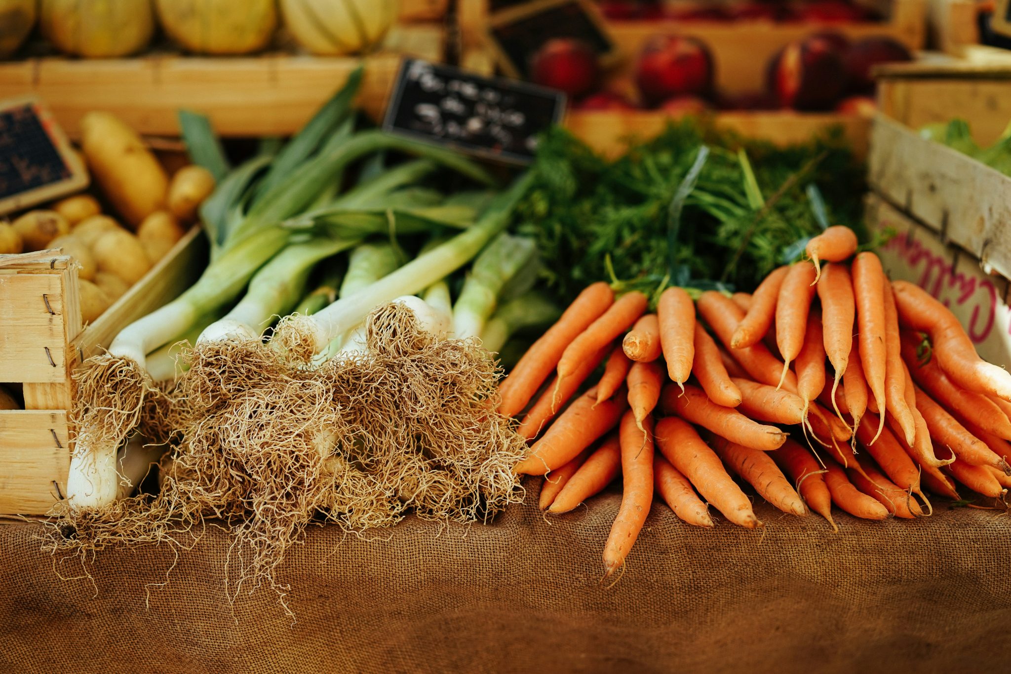 Root vegetables sorted for distribution to retail and food-service customers