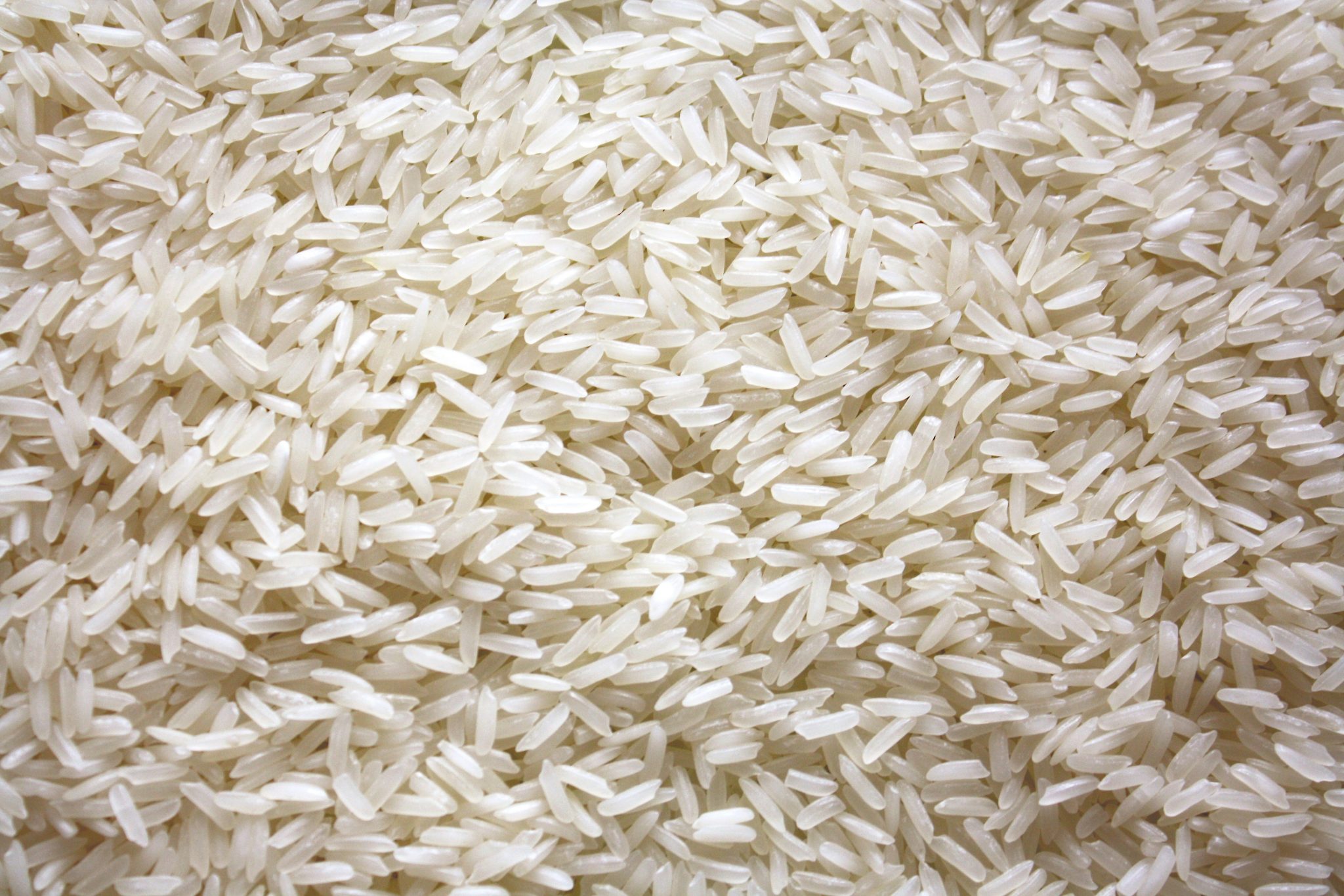 Bulk white rice ready for packing into commercial pack sizes